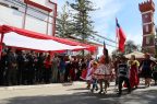 Desfile-Vicuña