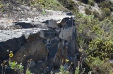 Piedras fueron unidas con mezcla de concha molida y cal.