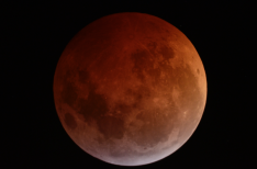 Eclipse Lunar 2019 (5)