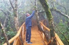Parque Nacional Bosque Fray Jorge - 5