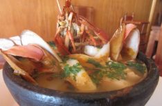 Gastronómica-Coquimbo