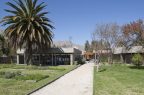 MuseoVicuña