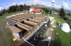 Planta-Rojas
