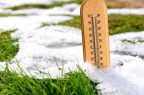 Frio-LVN-Web