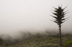 Biodiversidad
