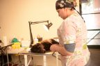 Esterilización-Veterinario