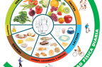 Alimentacion-Saludable