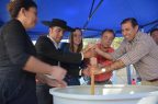 Pisco-Sour-Paihuano