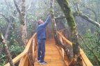 Parque Nacional Bosque Fray Jorge - 5
