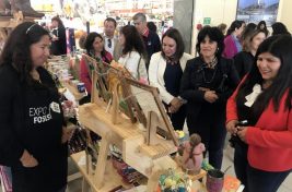 ExpoFOSIS 2019 1