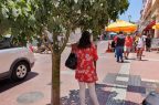 Arboles-LaSerena