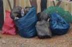 Basura-cloro