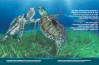 Tortugas-CEAZA