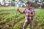 RapaNui-Productores