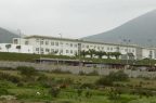 Huachalalume-HC