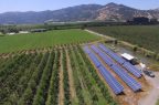 Agricultura-Energía
