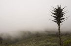 Biodiversidad