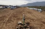 Carreras-Galgos-LosVilos