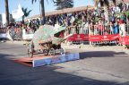 Carros-Locos-LaSerena