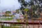 Fondo-Lluvia