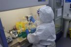 Laboratorio PCR Illapel
