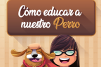 Perro-Educación