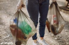 Basura-ECOLOGICA