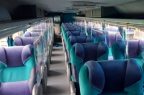 Buses-CortinasPVC