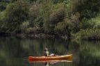 Kayak en Región de Los Ríos