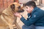 Mascota-LVN
