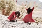Vicuña-Danza