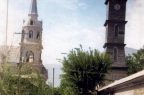 Vicuña-Antigua2