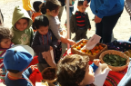 Alimentación saludable 1