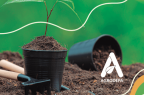 Cooperativa-Agricultores-PandeAzucar