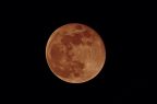 Eclipse-Luna-Sangre