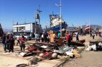 Tsunami-Coquimbo