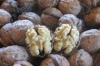 Nueces