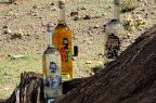 Pisco-Cogoti2