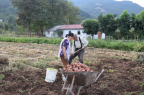 Pequenos agricultures septima region