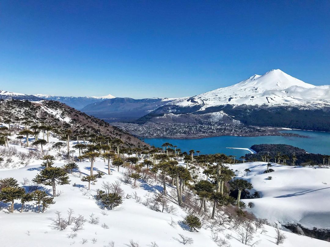 Viajar por Chile destino favorito en vacaciones La Voz del Norte