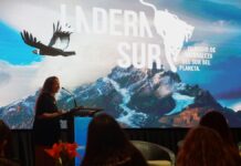 Con récord de participantes el Conversatorio Compromiso Regional abordó la relevancia de la biodiversidad